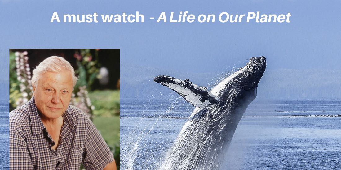 David Attenborough - a life on our planet