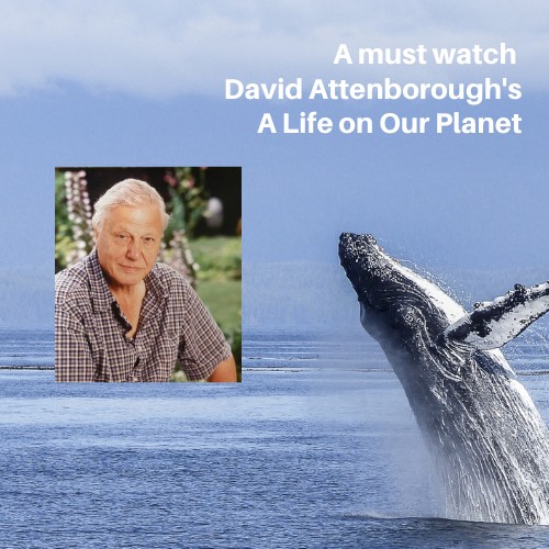 David Attenborough - A life on our planet